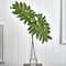 2.5ft. Philodendron Leaves in Cylinder Glass Vase